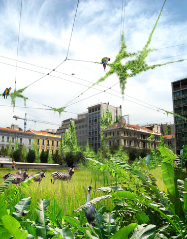 tropical athens ll.jpg